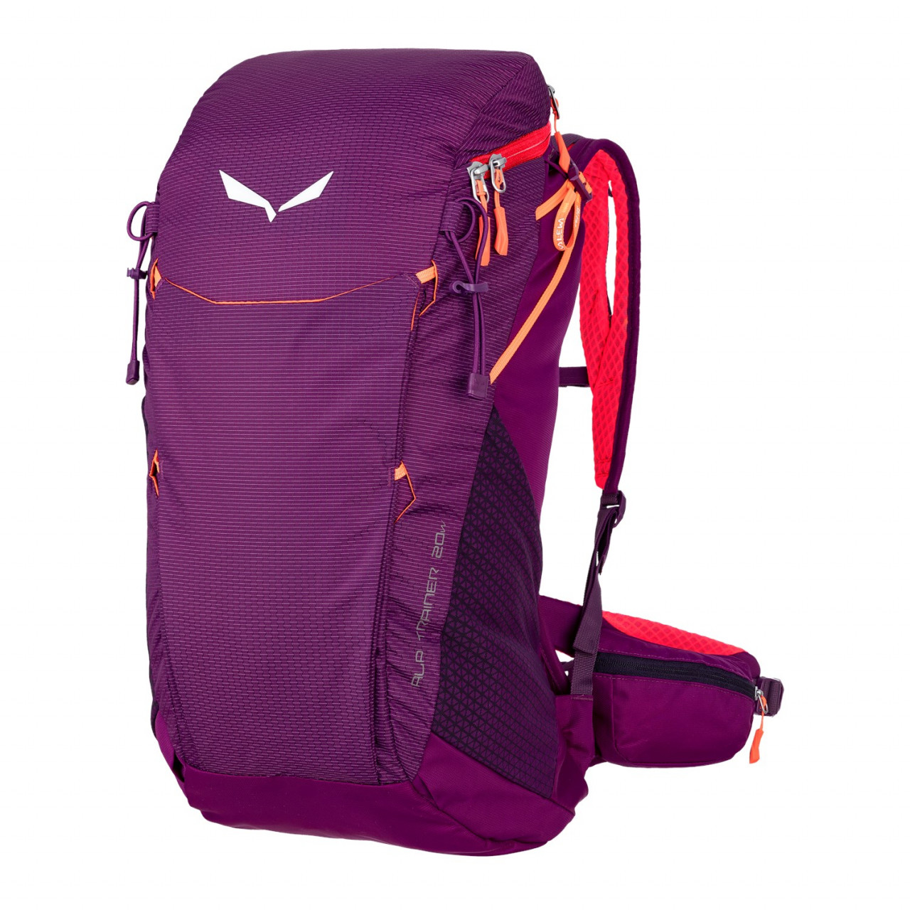Salewa Alp Trainer 20L Bayan Sırt Çantası Mor/Koyu Mor Türkiye 647230PBM